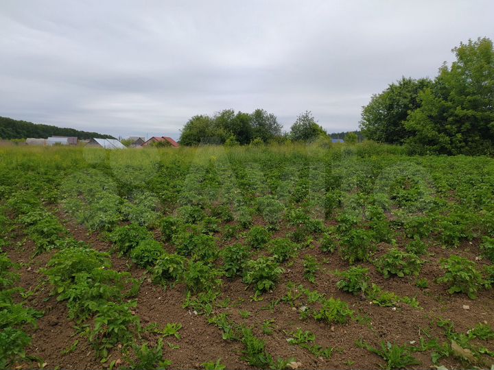 Дом 39 м² на участке 37 сот.