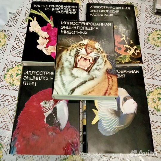 Иллюстрированные энциклопедии о Животном мире