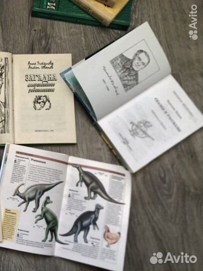 Дет книги детский детектив черный кот,Катаев,дино