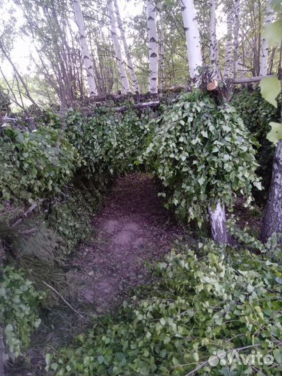 Веники для бани береза дуб пихта