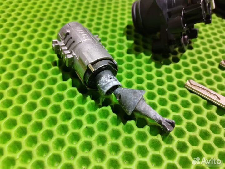 Личинка в дверь Bmw 5 E60