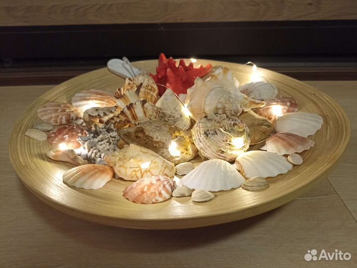 Ракушки набор