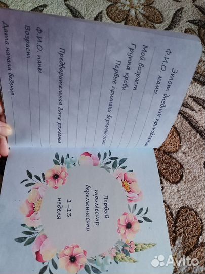 Дневник беременности