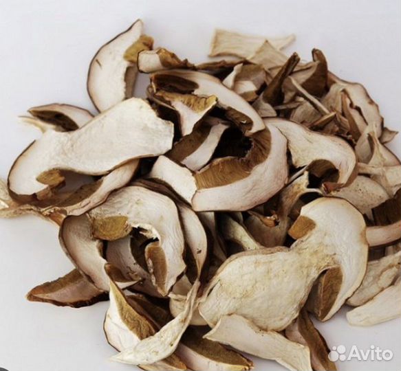 Лесные белые грибы