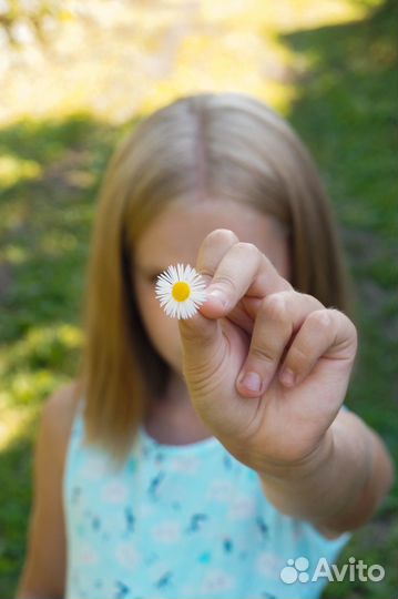Фотограф, фотосессия