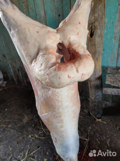 Баранина говядина