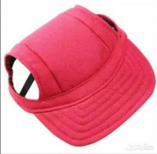 Одежда для собак и кошек, поводок