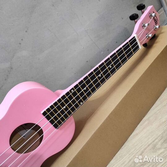 Укулеле новая концерт