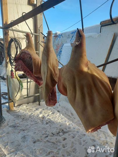 Мясо свинина деревенская