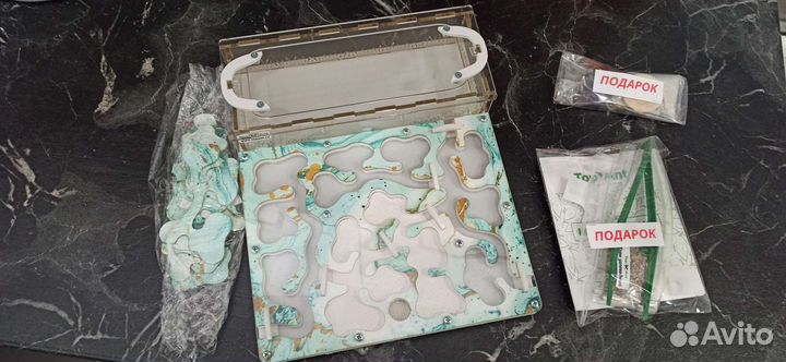 Муравьиная ферма (формикарий)