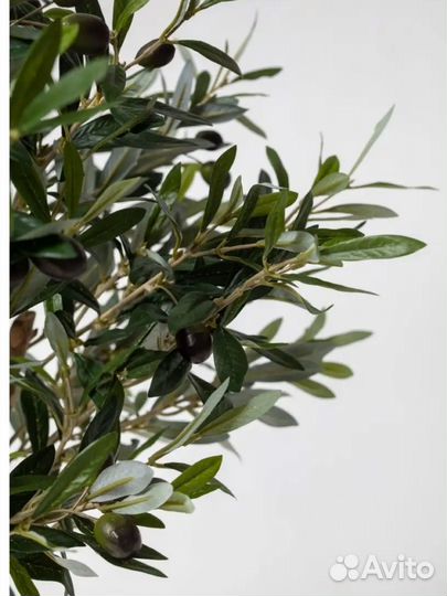 Искусственное дерево олива
