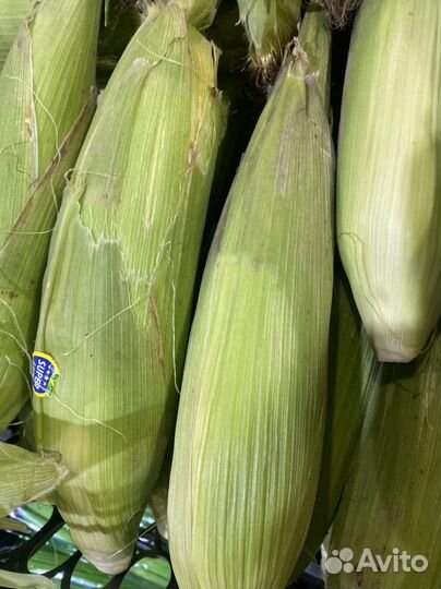 Кукуруза новый урожай свежий