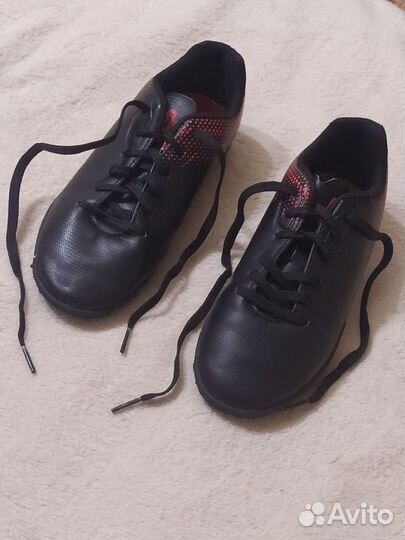 Сороконожки