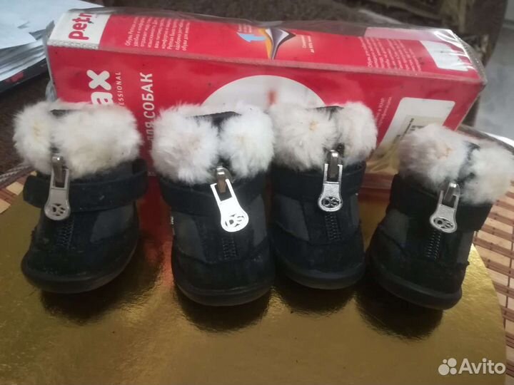 Зимняя обувь для маленьких собак