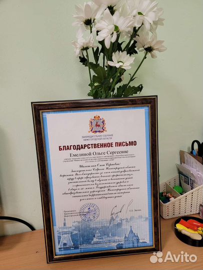 Репетитор начальной школы, тифлопедагог