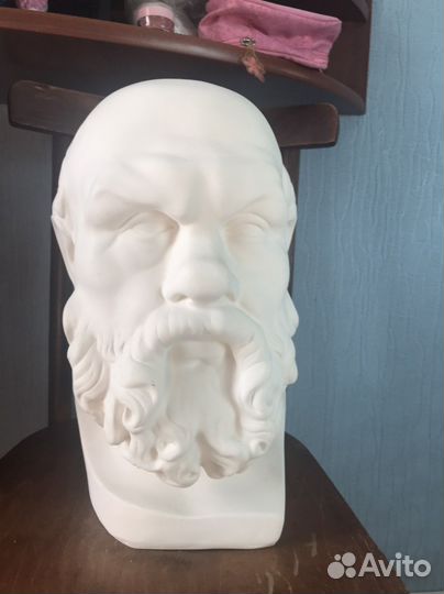 Бюст