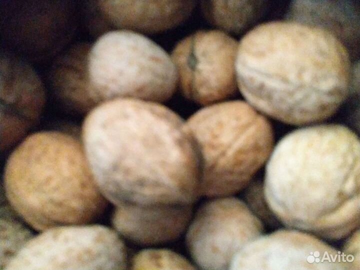 Грецкий орех