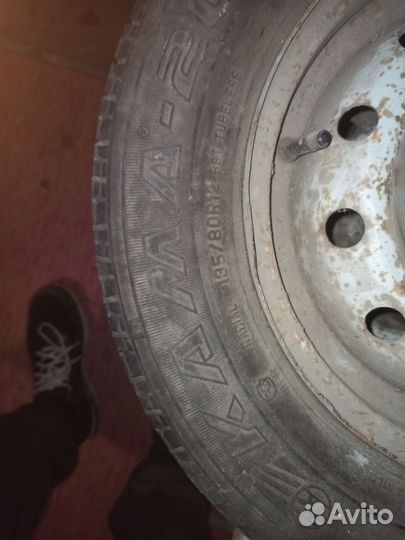 КАМА Кама-204 135/80 R12 68T