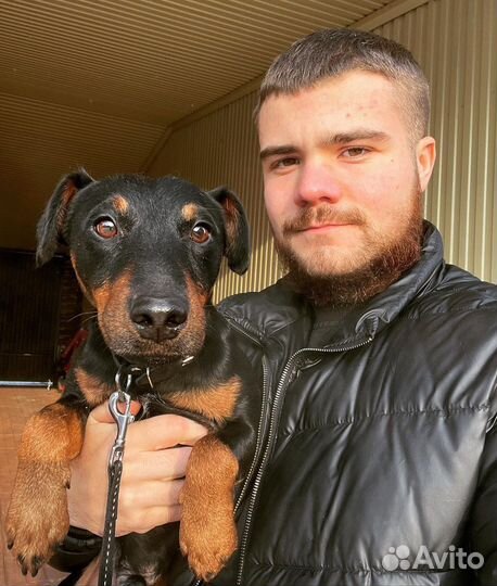 Передержка собак, гостиница для собак,зоогостиница