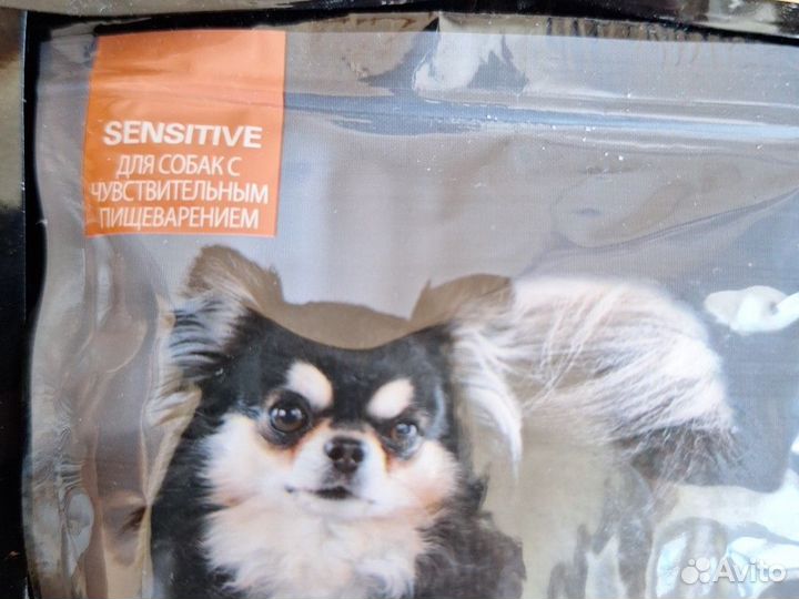 Pro Plan собаке