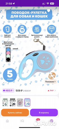 Ошейник и поводок для собаки