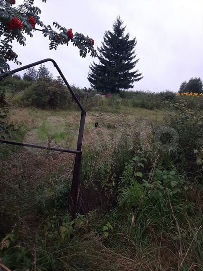 Участок 5,7 сот. (СНТ, ДНП)