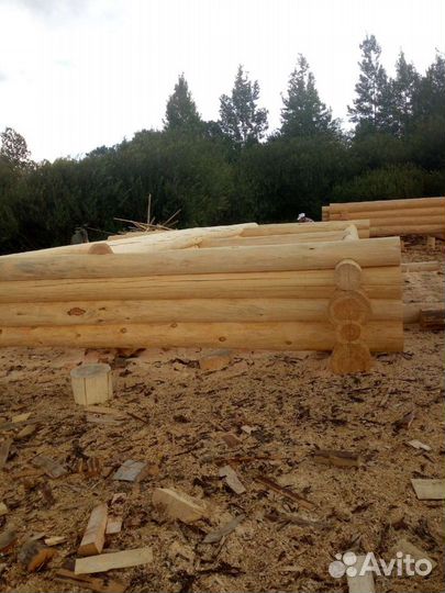 Срубы, домов и бань любых размеров