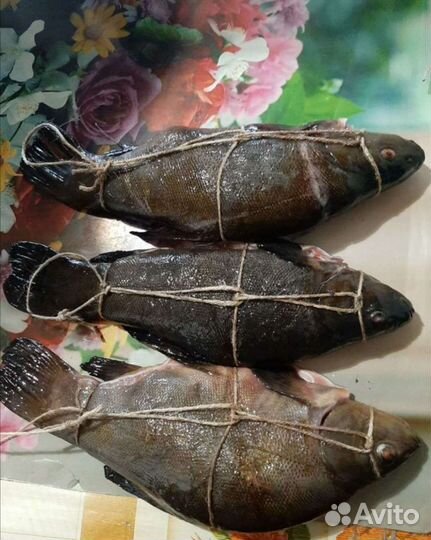 Копченый Линь, Лещ