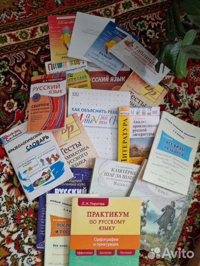 Книги по русскому языку и литературе