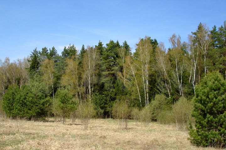 Участок 12 сот. (СНТ, ДНП)