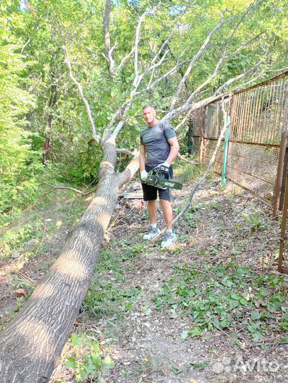 Спил деревьев Расчистка участков