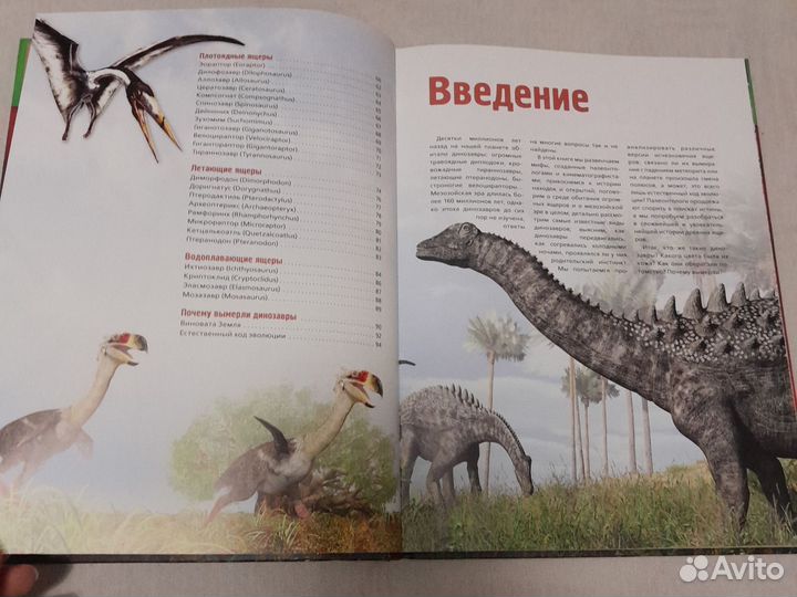 Книга Динозавры и Большая книга Пиратов