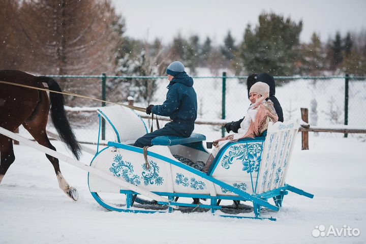Конные прогулки, катание на санях и каретах