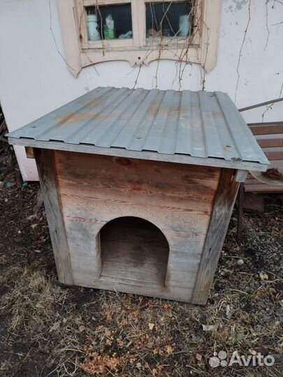 Собачья будка