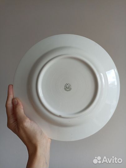 Тарелка Синица, зик, Конаково