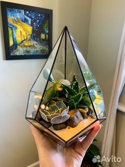 Мастер-класс по созданию флорариума из суккулентов