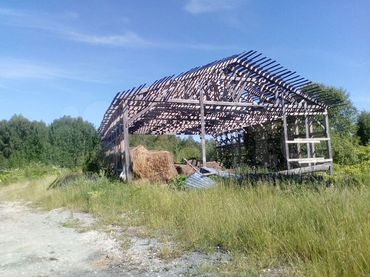 Участок 33 га (СНТ, ДНП)