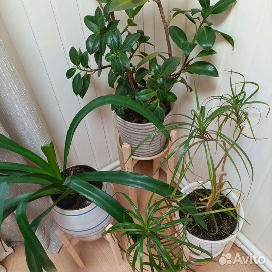 Подставки для цветов в разобраном виде