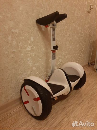 Сигвей новый