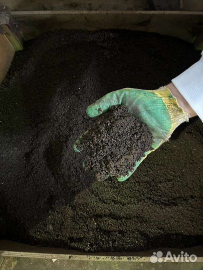 Биогумус на конском навозе