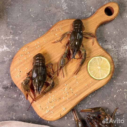 Живые раки волжские с доставкой