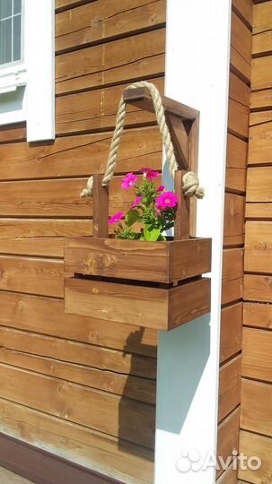 Петуния в кашпо