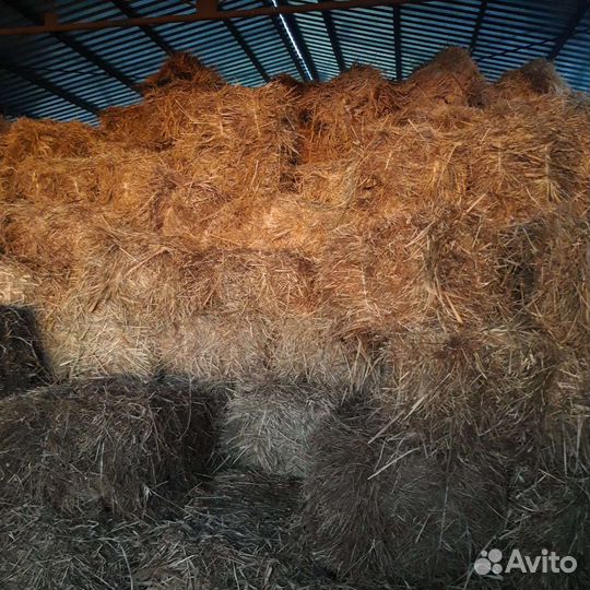 Сено в тюках