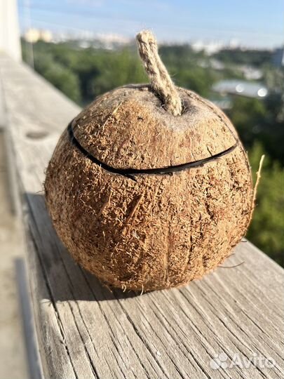 Массажная свеча в кокосе