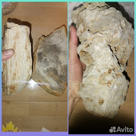 Всё для Аквариума.Сомики.Растения.Грунт.Грот