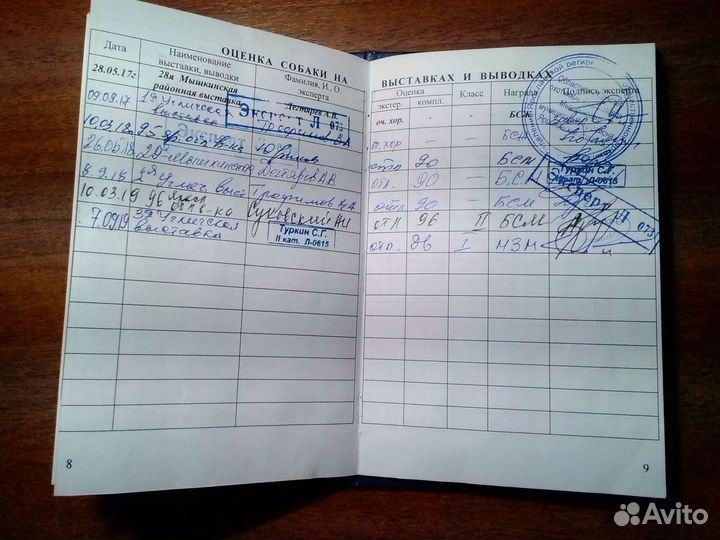 Кобель для вязки