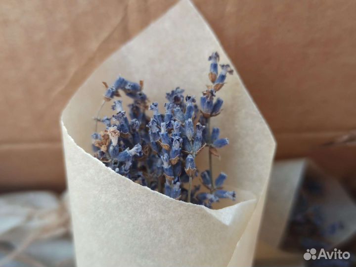 Лаванда сухоцвет