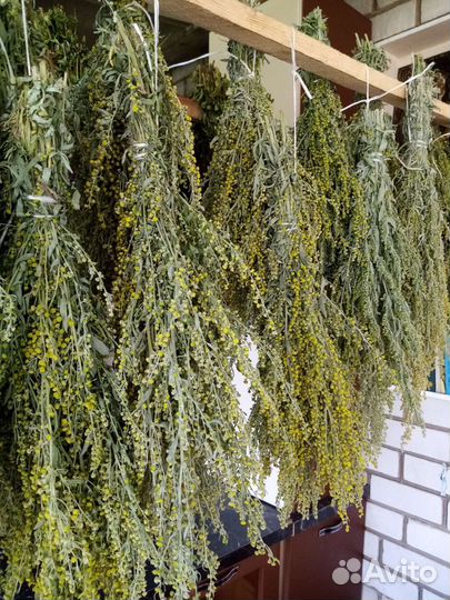 Травы для бани