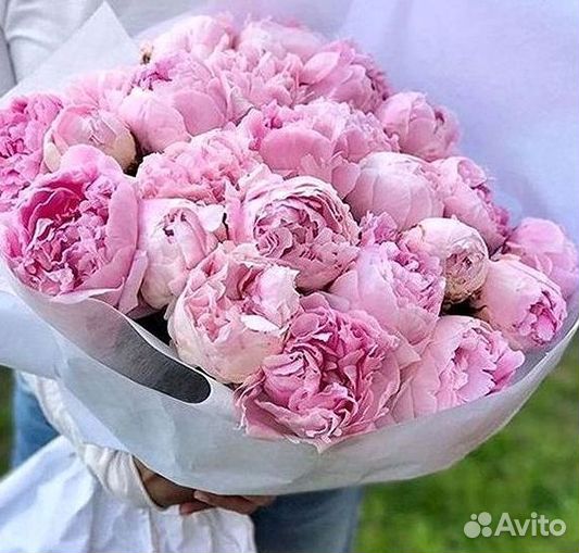 Пионы Розы Доставка