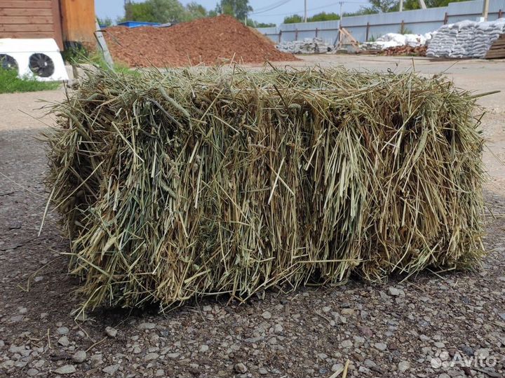 Сено в тюках